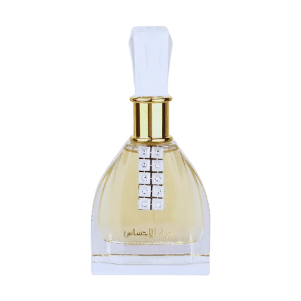 AMEERAT AL EHSAAS EAU DE PERFUME 100ML