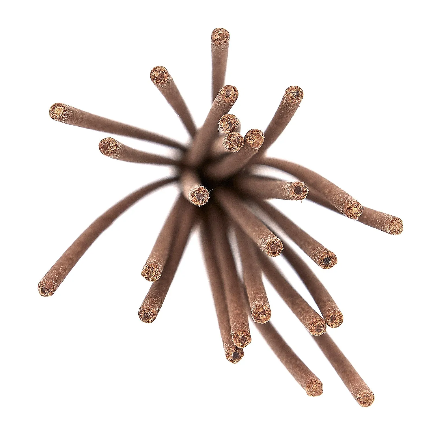 Apotheke Fragrance Incense Sticks "Endless Summer"