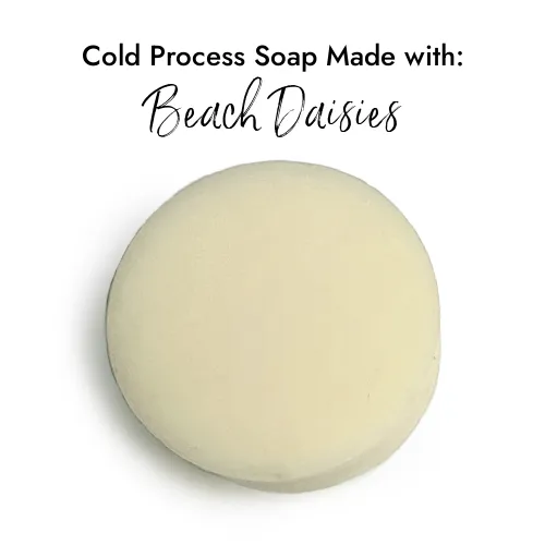 Beach Daisies - Premium Fragrance Oil
