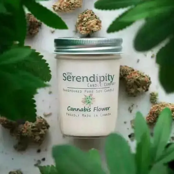 Cannabis Flower Soy Candles