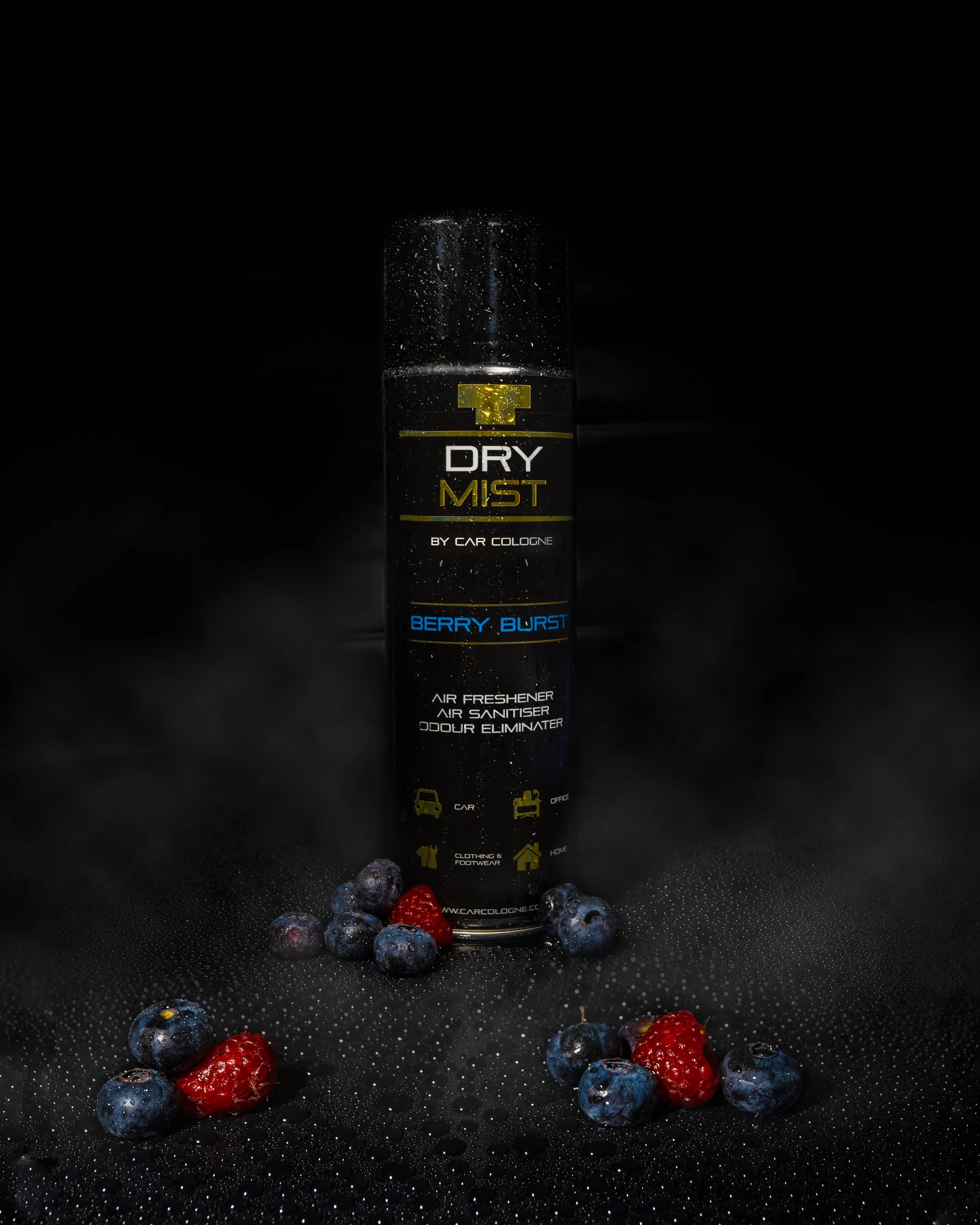 Dry Mist - Berry Burst