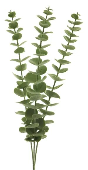 EUCALYPTUS SPRAY X3 60CM