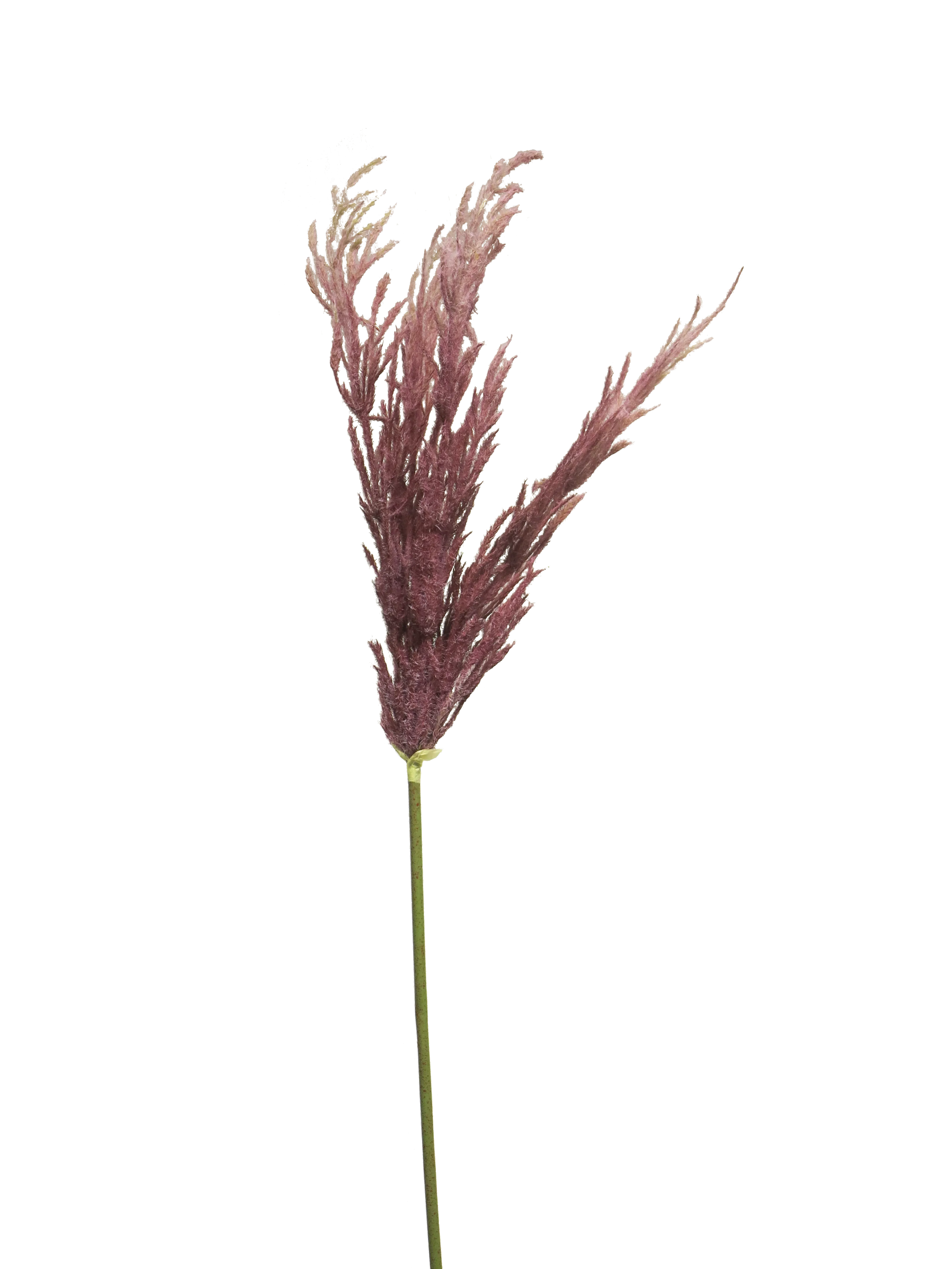 GRASS SPRAY RED 99CM