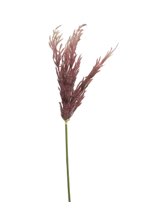 GRASS SPRAY RED 99CM