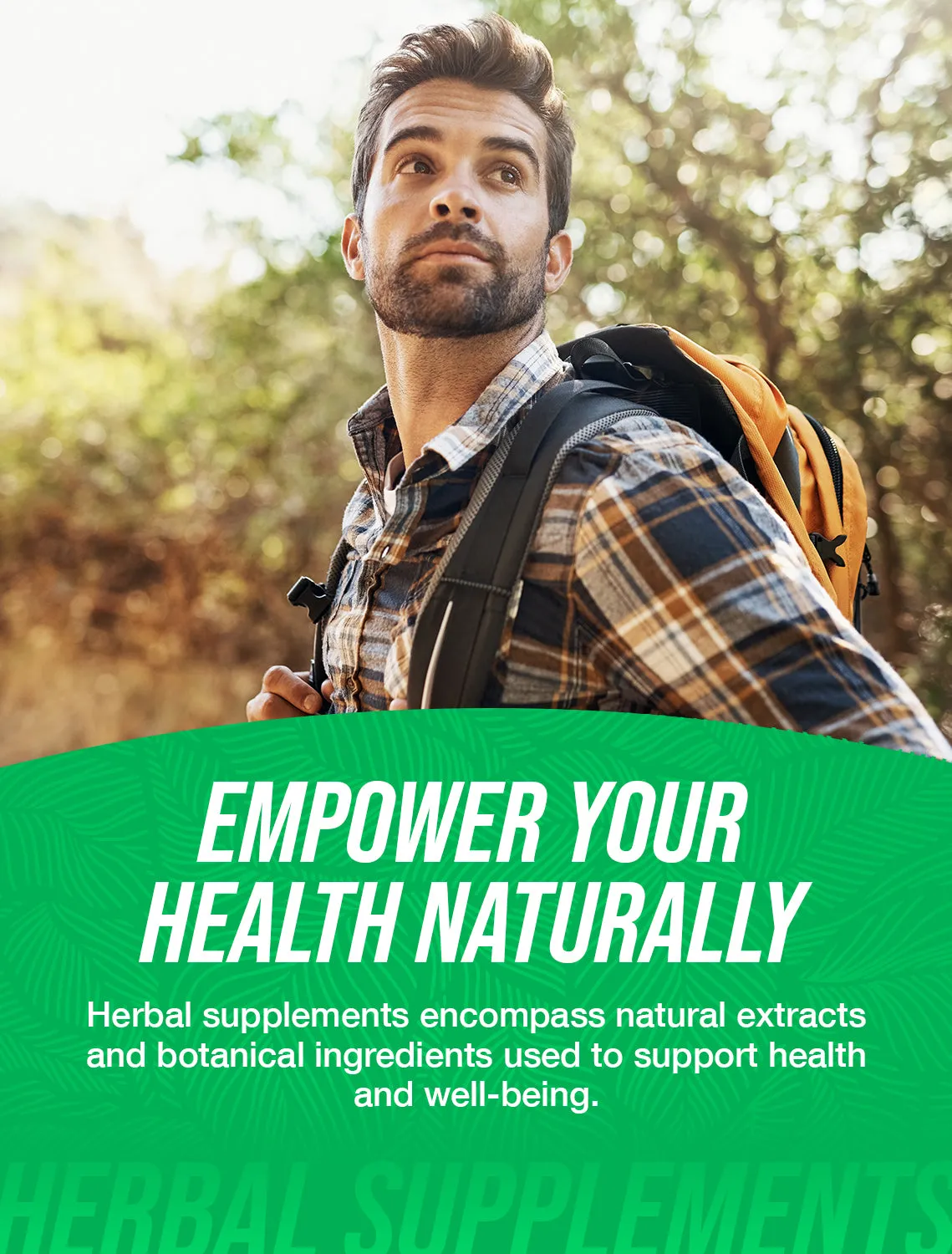 Green Tea Extract (50% Polyphenols) Powder