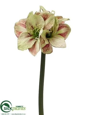 Silk Plants Direct Amaryllis Spray - White Burgundy - Pack of 6