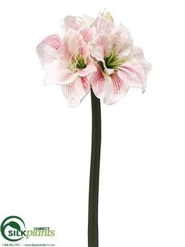 Silk Plants Direct Amaryllis Spray - White Burgundy - Pack of 6