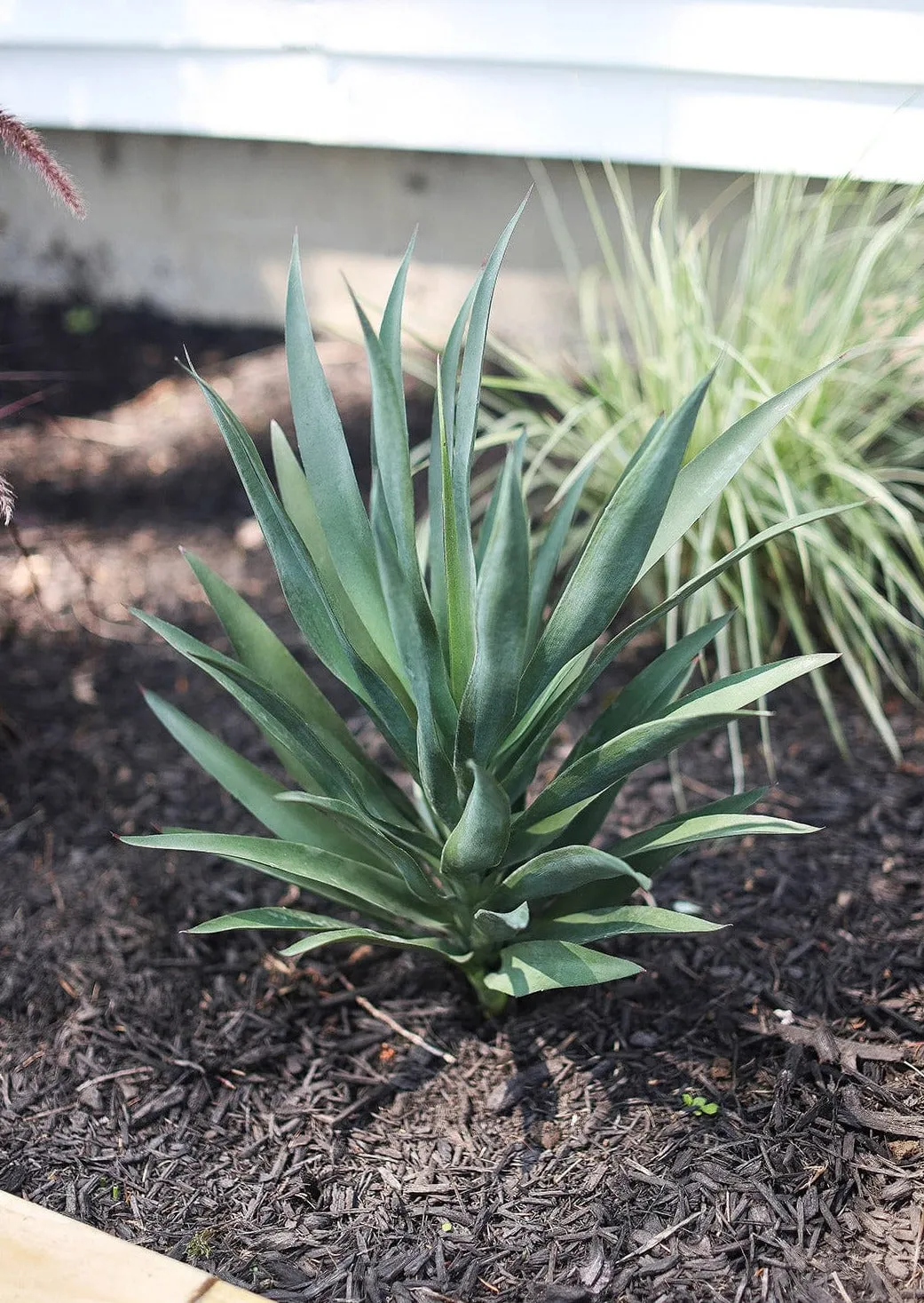 UV Treated Artificial Indoor/Covered Outdoor Yucca Plant - 27"